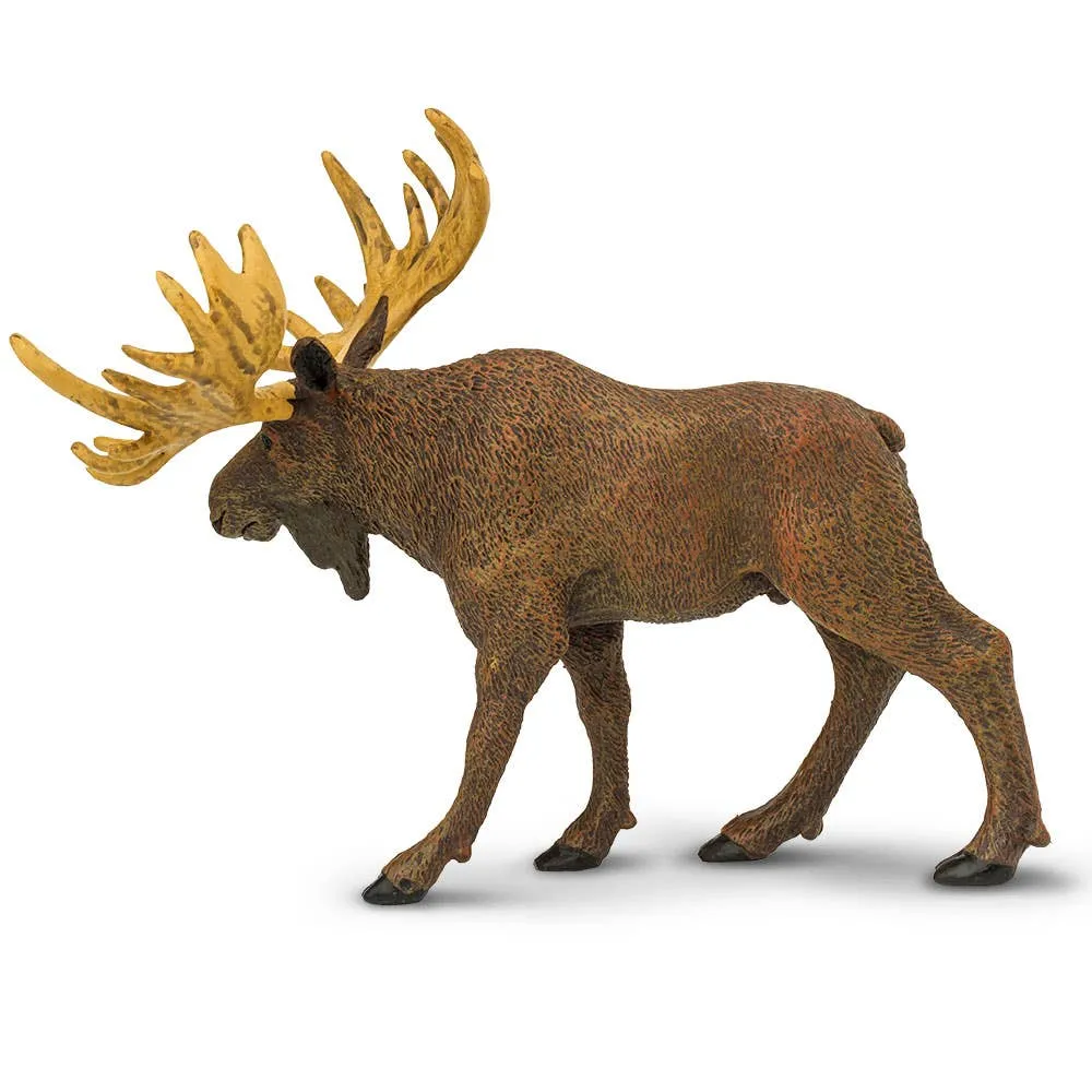Safari Ltd. - Moose