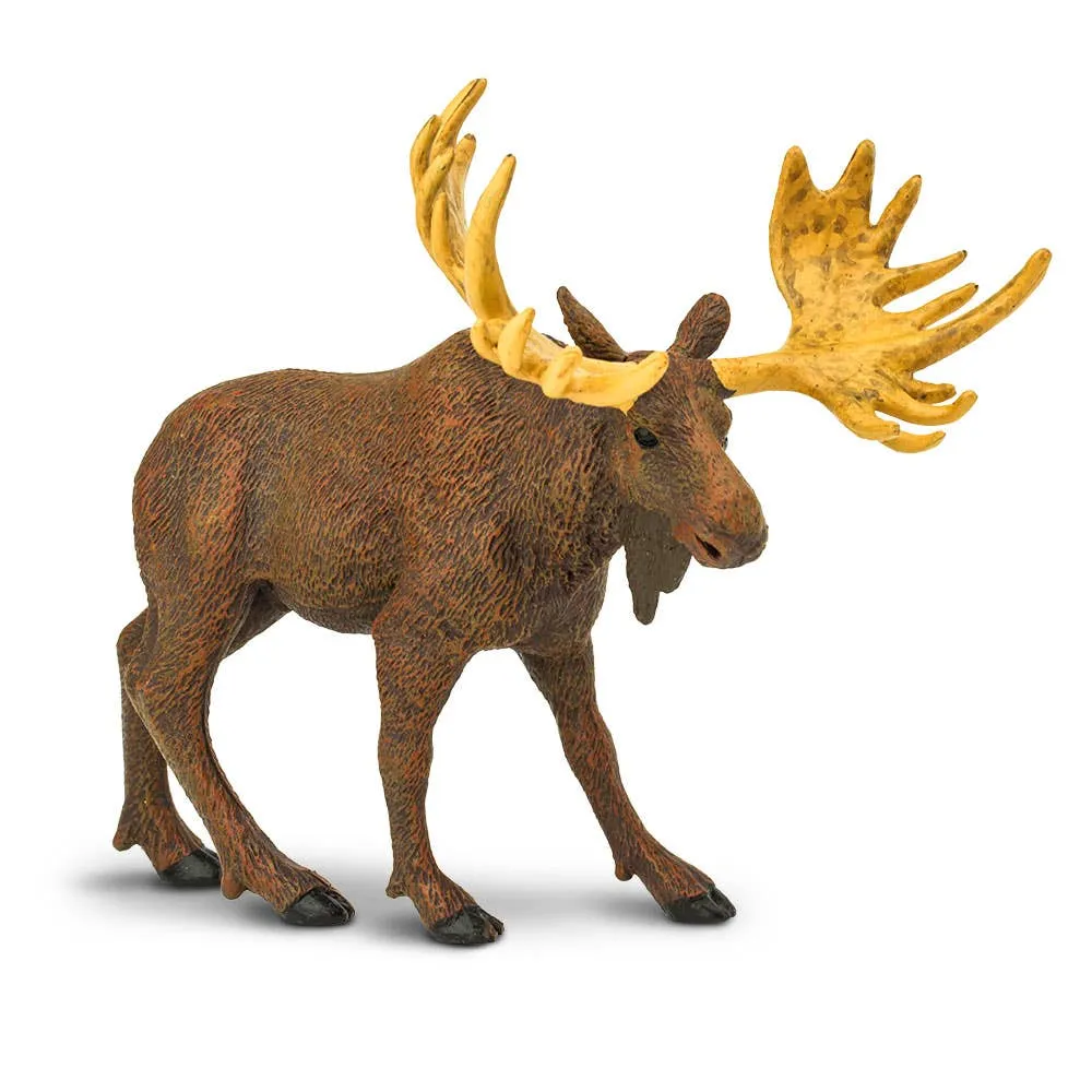 Safari Ltd. - Moose