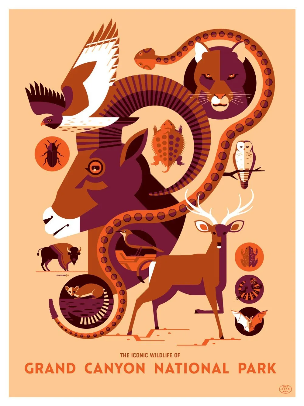 Tom Whalen - "Iconic Wildlife of Grand Canyon National Park"